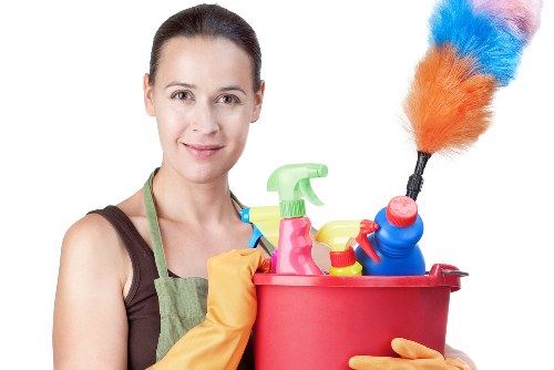 Professional oven cleaning in Hollandpark with a spotless kitchen appliance