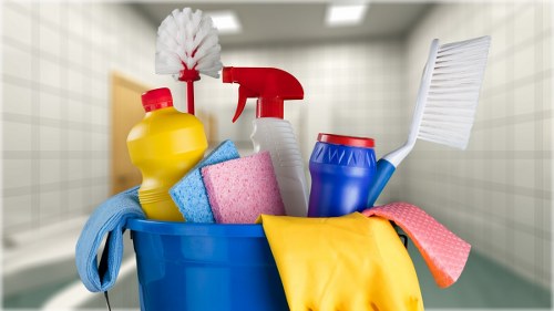 Professional cleaner preparing a detailed home cleaning service in Holland Park