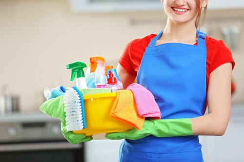Professional office cleaners working in a Hollandpark workplace