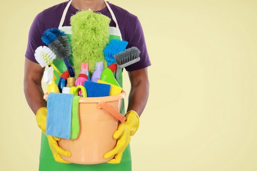 Professional cleaners in Hollandpark providing domestic cleaning in a stylish home