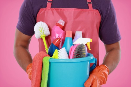 Illustration of cookie consent on Hollandpark Cleaners website