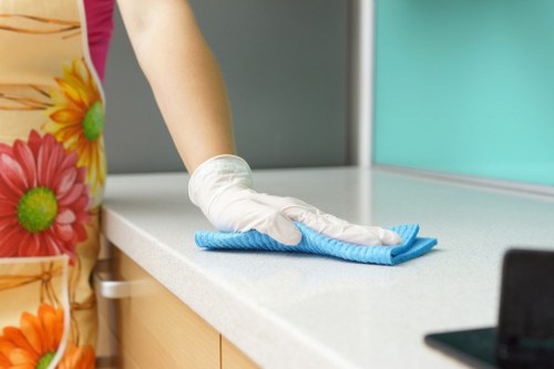 Professional one off cleaning service in a Hollandpark home