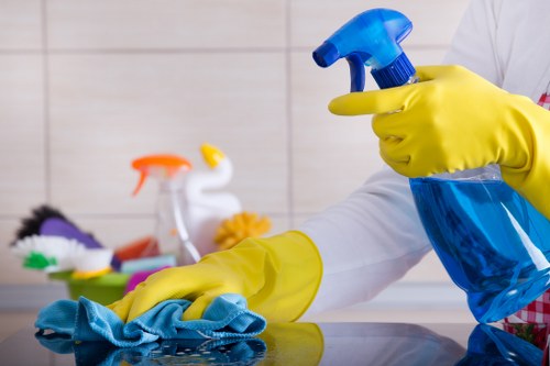 Thorough deep cleaning in Hollandpark with attention to detail