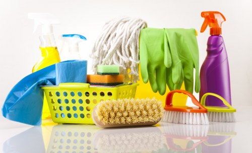Professional sofa cleaning in a Hollandpark living room