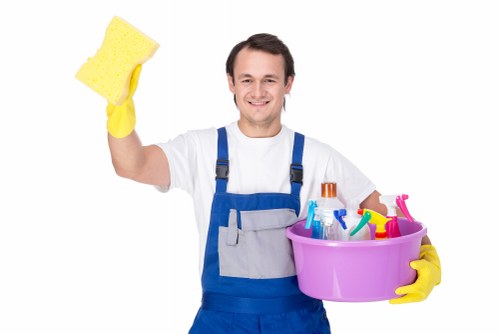 Professional carpet cleaning in a Hollandpark living room