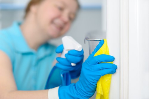 Clean and organized interior maintained by Hollandpark Cleaners