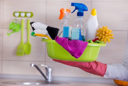 Hollandpark cleaner organizing a modern kitchen during a home cleaning service