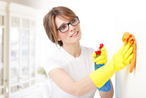 Eco-friendly Hollandpark cleaning service for a well-kept home