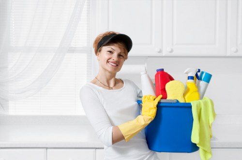 Illustration representing accessible web access for Hollandpark Cleaners