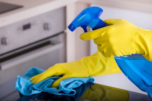 Seasonal refresh using one off cleaning in Hollandpark