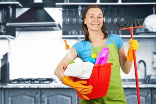 Eco-friendly home cleaning service in Hollandpark for modern households