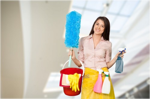 Professional rug cleaning in Hollandpark for a fresh and healthy home