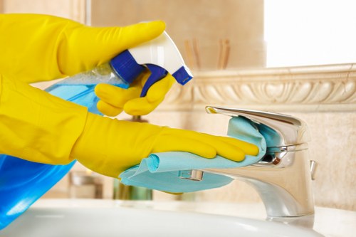 Residential and commercial carpet care in Hollandpark