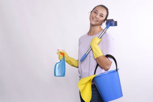 Deep cleaning tasks carried out in a Hollandpark property