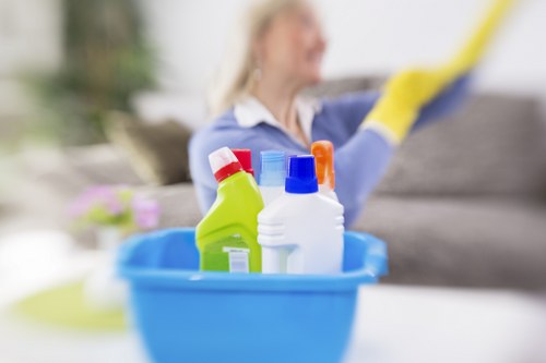 Cleaning team restoring a newly renovated Hollandpark home after construction