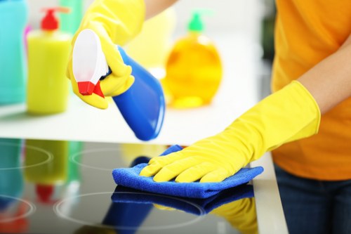Carpet cleaning service in Hollandpark treating stains and dirt