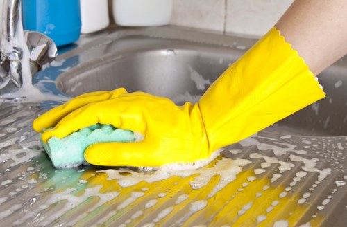 Cleaner in Hollandpark performing detailed bathroom cleaning