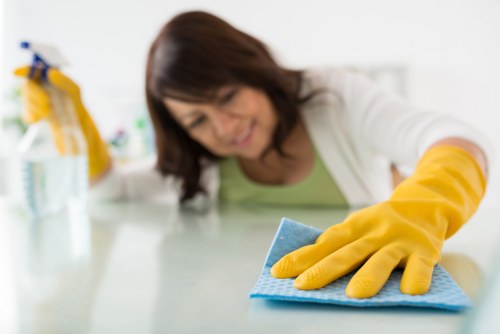 Professional floor and carpet cleaning before tenancy handover