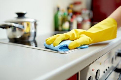 Fresh kitchen appliance maintained through expert oven cleaning in Hollandpark