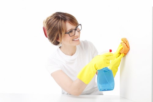 Eco-friendly cleaning company in Hollandpark