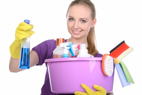 Kitchen cleaning service in a Hollandpark home