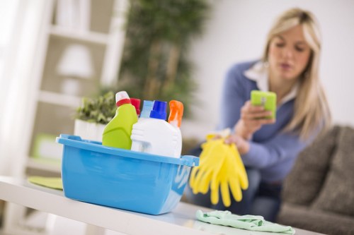 Deep cleaning process in a refined home interior in Holland Park