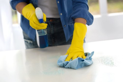 Detailed home cleaning service in Hollandpark interior