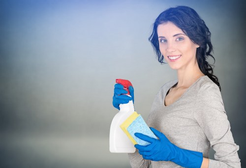 Deep carpet cleaning equipment used by a Hollandpark specialist
