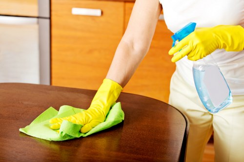 Stain removal and deep cleaning for rugs in Hollandpark