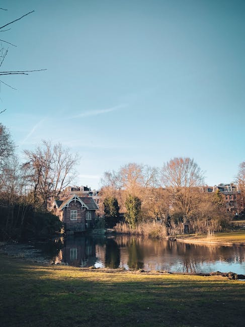 A peaceful riverside scene featuring a calm body of water reflecting the surrounding trees and buildings. The foreground shows a grassy area with some exposed soil, leading to the water's edge. In the background, there are residential buildings, including a brick house with a pitched roof and large windows, partially obscured by leafless trees and shrubs. The sky above is clear with a few wispy clouds, and the overall scene is well-lit, indicating daytime. The environment appears clean and well-maintained, embodying the tranquility of a parkside residential area. This image aligns with the concept of surface cleaning and maintenance of outdoor spaces, reflecting the quality and hygiene standards promoted by Cleaners Holland Park.